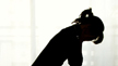 DJ Operator in Udupi booked for harassing young woman.